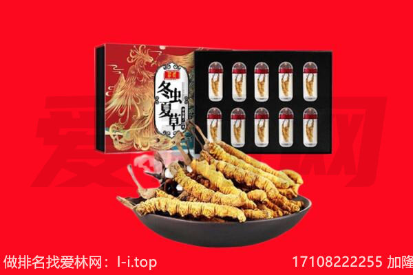 恩施州回收虫草.jpg